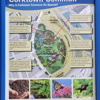 Corktown Common - Cmap - Playgrounds Near Me - Toronto, Ontario