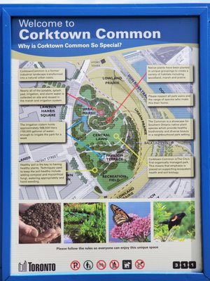Corktown Common by null