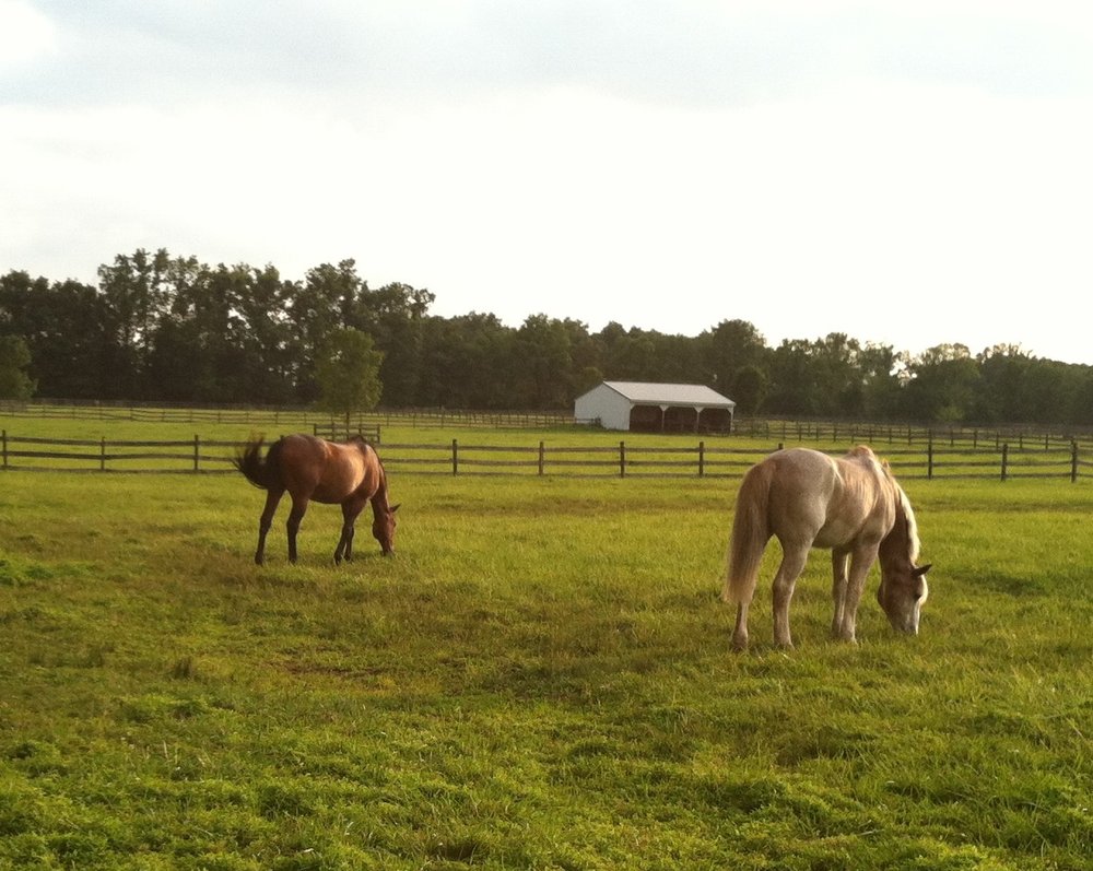 COME ALONG FARM 55 Municipal Rd, Pipersville, Pennsylvania