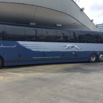 Greyhound Bus Lines - Bus ted - Public Transportation Near Me Greyhound Bus Lines - Bus ted - Public Transportation Near Me
