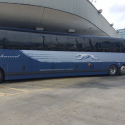 Greyhound Bus Lines - Bus ted