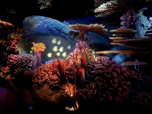 The Seas with Nemo & Friends by null