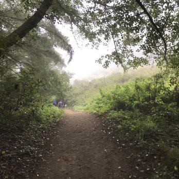 Palomarin Trailhead - Pretty trails - Parks Near Me - Bolinas, California
