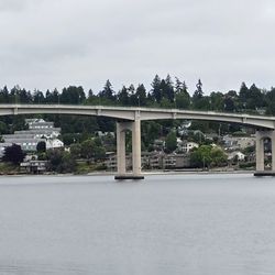 Manette Bridge