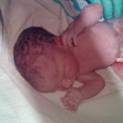 Sargent Larry A MD