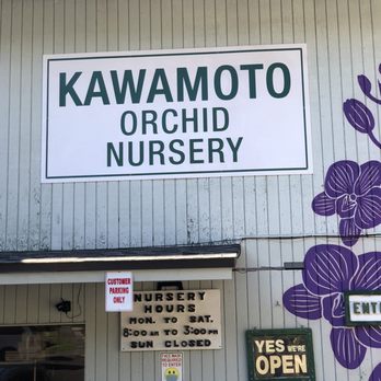 Kawamoto Orchid Nursery - Nurseries & Gardening Near Me - Honolulu, Hawaii