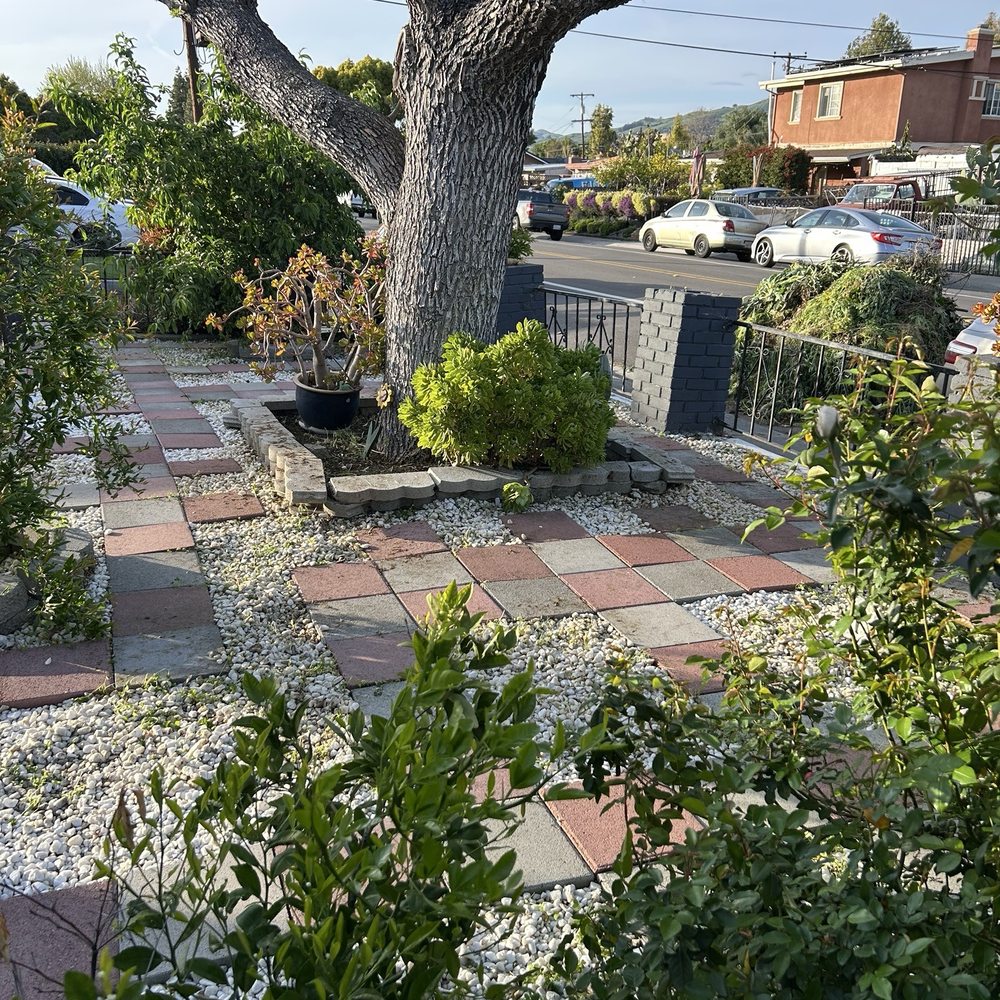Rosa's Maintenance - AFTER our front of house looks much better! - Landscaping Near Me Rosa's Maintenance - AFTER our front of house looks much better! - Landscaping Near Me