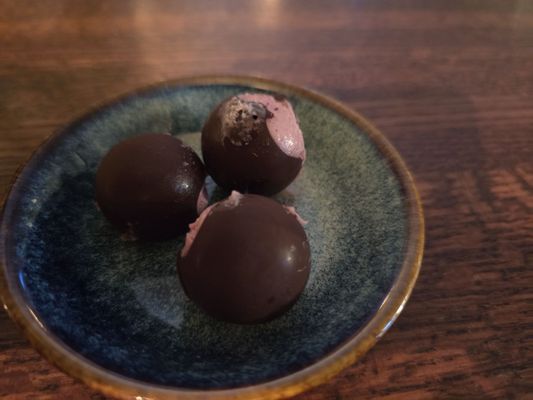 Oystercatcher by null