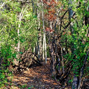 Bevier Park - Disc Golf Near Me - Waukegan, Illinois