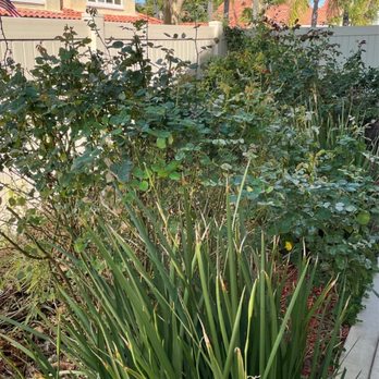 McCabe's Landscape Construction - Landscaping Near Me - Murrieta, California McCabe's Landscape Construction - Landscaping Near Me - Murrieta, California