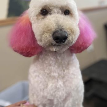 Pet Supplies Plus Plainfield - Pet Groomers Near Me - Plainfield, Illinois Pet Supplies Plus Plainfield - Pet Groomers Near Me - Plainfield, Illinois