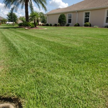 Paradise Mowing Services - a freshly mowed lawn - Lawn Services Near Me - Lady Lake, Florida Paradise Mowing Services - a freshly mowed lawn - Lawn Services Near Me - Lady Lake, Florida