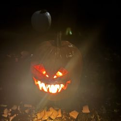 Whitcomb's Land of Pumpkins and Corn Maze