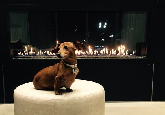 Avalon North Station by null