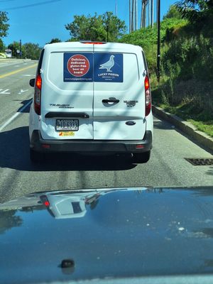 Lucky Pigeon Brewing Co. by null