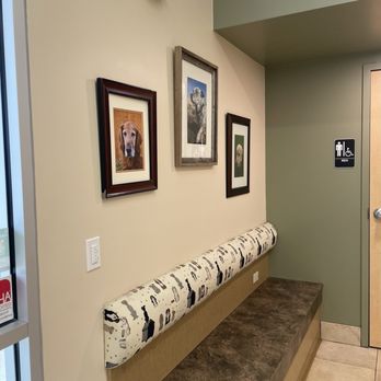 Mesa Veterinary Hospital - Veterinarians Near Me - Golden, Colorado Mesa Veterinary Hospital - Veterinarians Near Me - Golden, Colorado