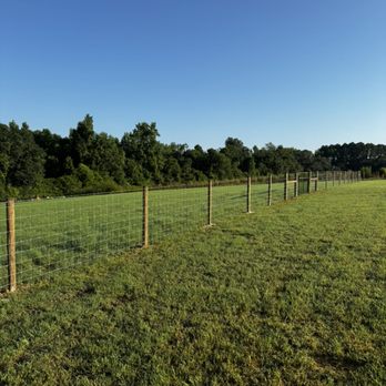 Border Wood - Fences & Gates Near Me