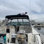 Apogee Services