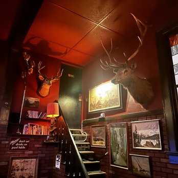 The Page - a deer head mounted on the wall - Bars Near Me - San Francisco, California The Page - a deer head mounted on the wall - Bars Near Me - San Francisco, California