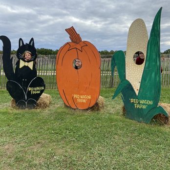 Red Wagon Farm - More pic props - Fruits & Veggies Near Me - Columbia Station, Ohio