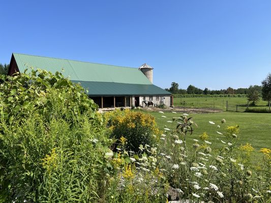 Northern Sun Winery and Vineyards by null