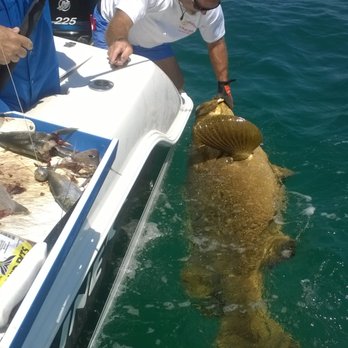 Fishdaddy Charter - Goliath Grouper - Boat Charters Near Me - Hernando Beach, Florida