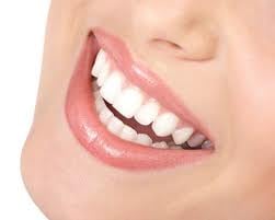 Desert Beauty and Tans