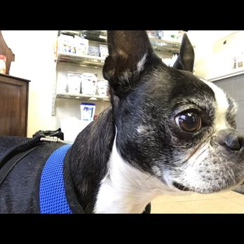 Millwoods East Veterinary Clinic - Veterinarians Near Me - Edmonton, Alberta Millwoods East Veterinary Clinic - Veterinarians Near Me - Edmonton, Alberta