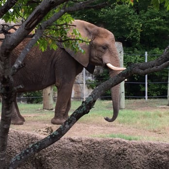 Cameron Park Zoo - Zoos Near Me - Waco, Texas