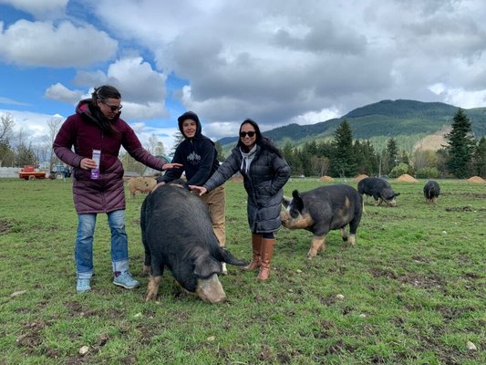 Alluvial Farms by null