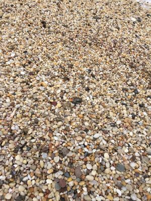 Horton Point Lighthouse Nautical Museum by null