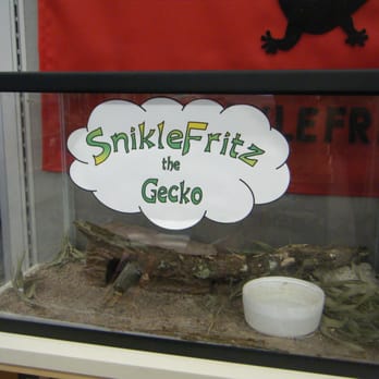 East Lake County Library - Mr Gecko - Libraries Near Me - Sorrento, Florida
