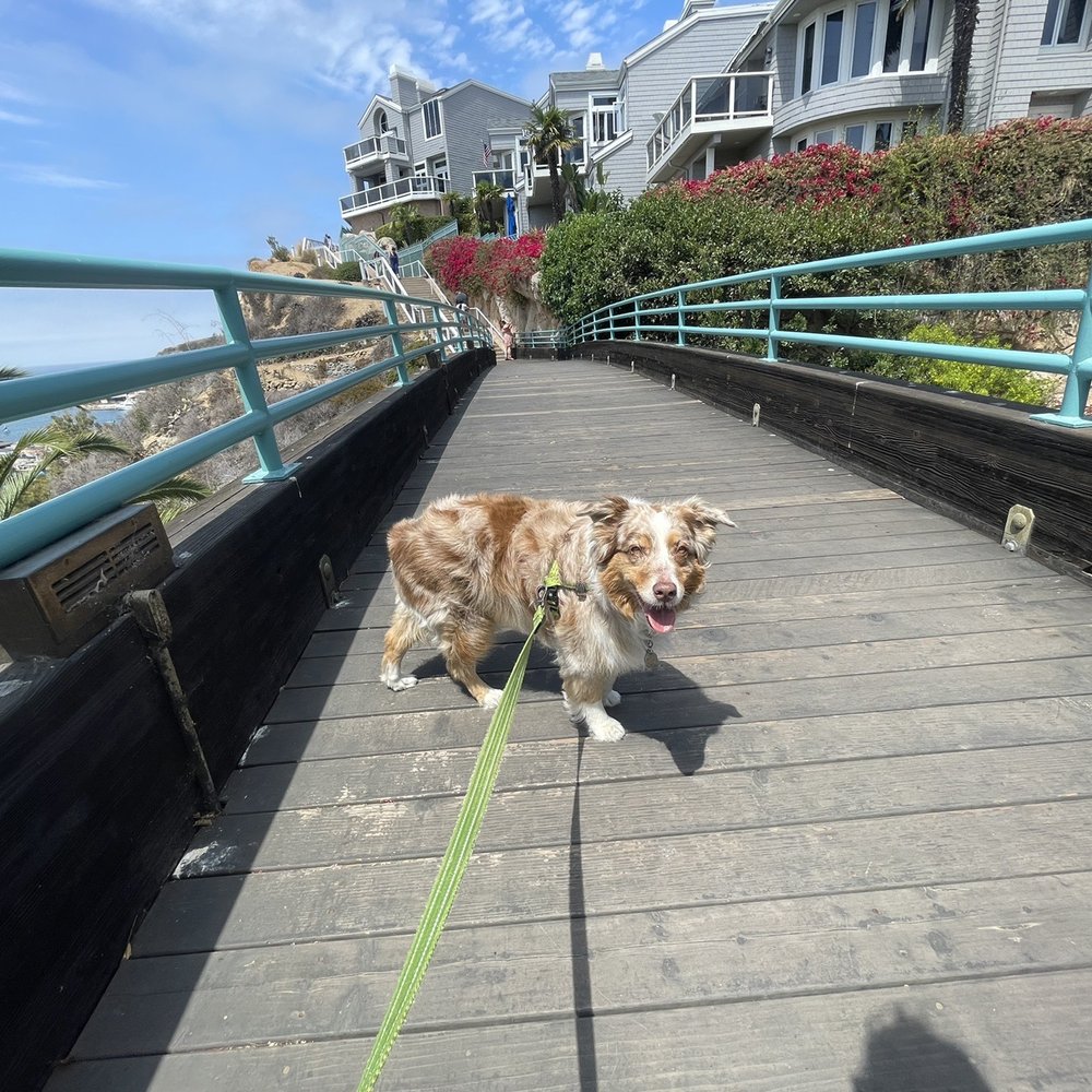Dana Point Arches - Betty enjoying the walkway by the Dana Point Arches 7.26.22 - Landmarks & Historical Buildings Near Me - Dana Point, California Dana Point Arches - Betty enjoying the walkway by the Dana Point Arches 7.26.22 - Landmarks & Historical Buildings Near Me - Dana Point, California