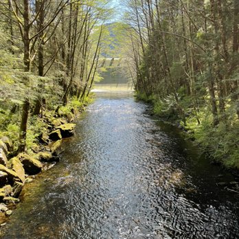 Clan House Tours - View of Ward Creek at Rainforest Trail. - Private Tutors Near Me