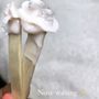 Photo of SophBNatural