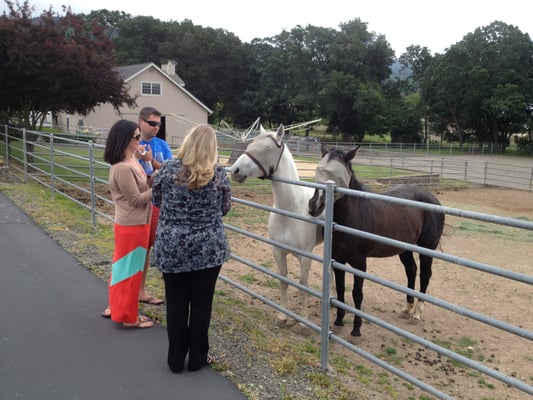 Savor Napa Valley Wine Tours by null