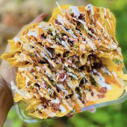 Signature Loaded Nachos in the nostalgic ball park tray (want to eat and walk this is the best way to go)