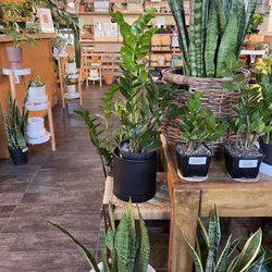 Vang's Plants and Succulents Hub - Front of shop