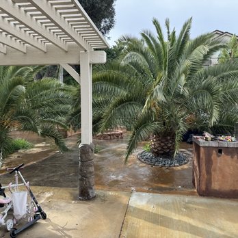 Joel's Tree Service - Before - Tree Services Near Me Joel's Tree Service - Before - Tree Services Near Me