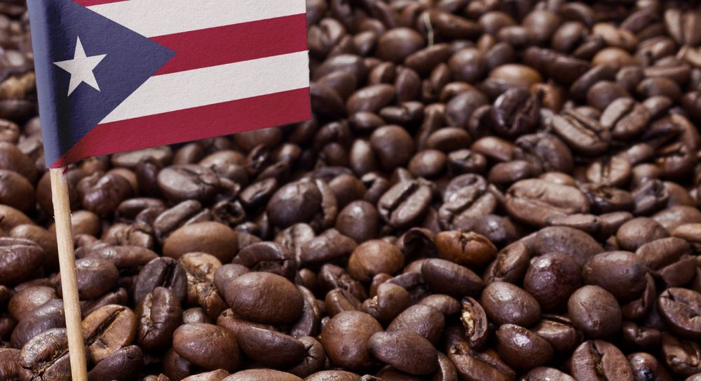 Bieke Beans Image