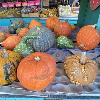 Sonoma Valley Fruit Basket - Cool pumpkins - Fruits & Veggies Near Me - Sonoma, California Sonoma Valley Fruit Basket - Cool pumpkins - Fruits & Veggies Near Me - Sonoma, California