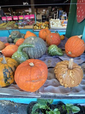 Sonoma Valley Fruit Basket by null