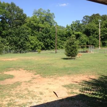 Starkville Dog Park - Pets Near Me - Starkville, Mississippi Starkville Dog Park - Pets Near Me - Starkville, Mississippi