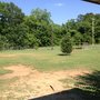 Photo of Starkville Dog Park