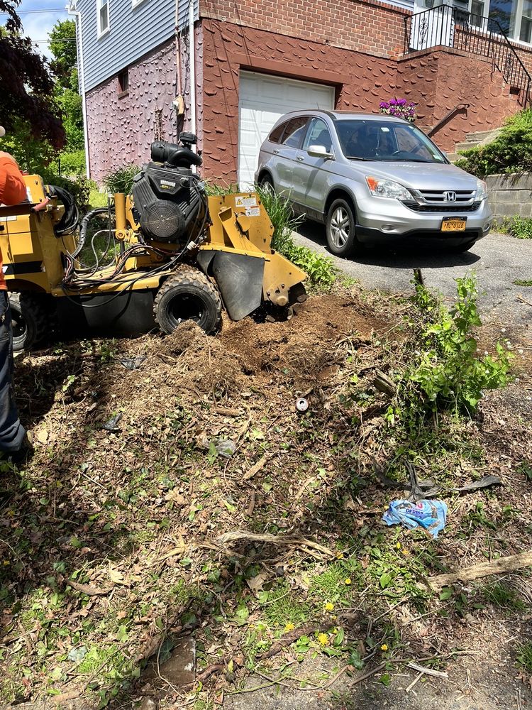 E&H TREE SERVICE/ LANDSCAPING Updated August 2024 Request a Quote