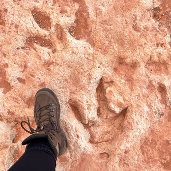 Dinosaur Tracks - Landmarks & Historical Buildings Near Me - Tuba City, Arizona