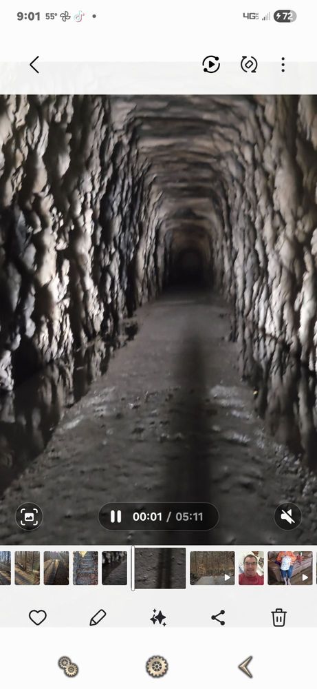 Stumphouse Tunnel Image