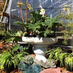 Tapestry Garden and Farm - Vintage finds, cool plants and locally made garden art.