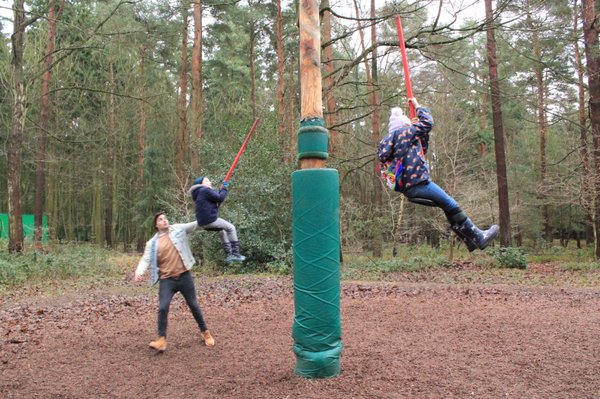 Thetford Forest by null