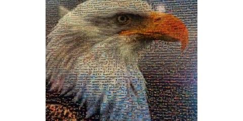 Slide of American Roofing